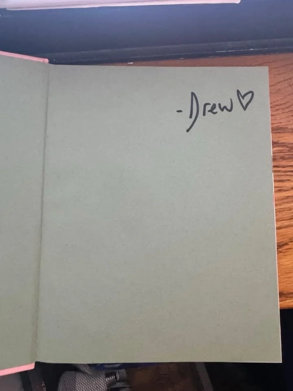 Signed Drew Barrymore Rebel Homemaker Cookbook